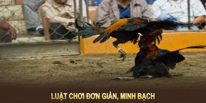 Luật chơi đơn giản, minh bạch, đảm bảo trải nghiệm hấp dẫn