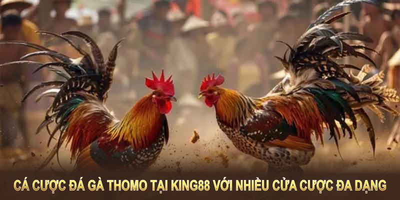 Cá cược đá gà Thomo tại King88 với nhiều cửa cược đa dạng